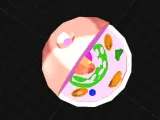 Cell / Célula-1