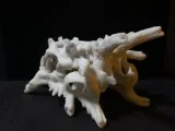 Phone stand- dragon skull-4