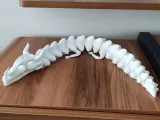 CUSTOMIZABLE SKELATON DRAGON-1