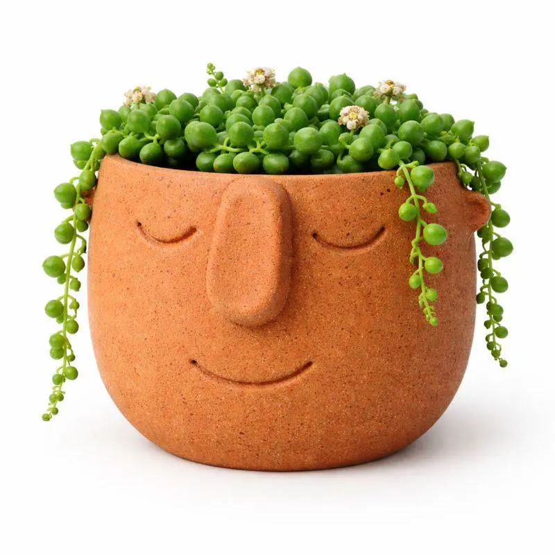 Face Pot Planter - Succulent - Cactus - Potus