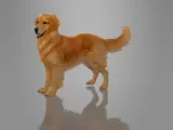 MINIATURE GOLDEN-1