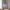 Poly-Lamp Shade V5