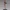 Obsidian Desire Muse – Ecchi Bondage Allure