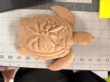 Tiki Turtle w/ Island Palm Shell -1