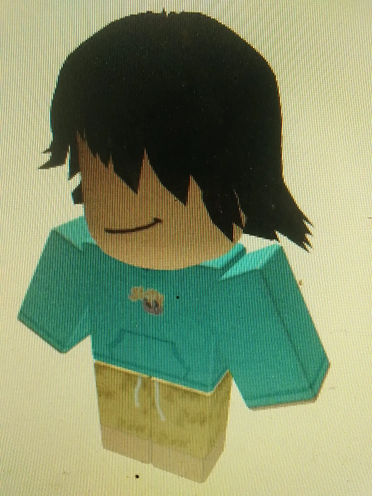 Zackdhanujaya1 roblox shoulder pet