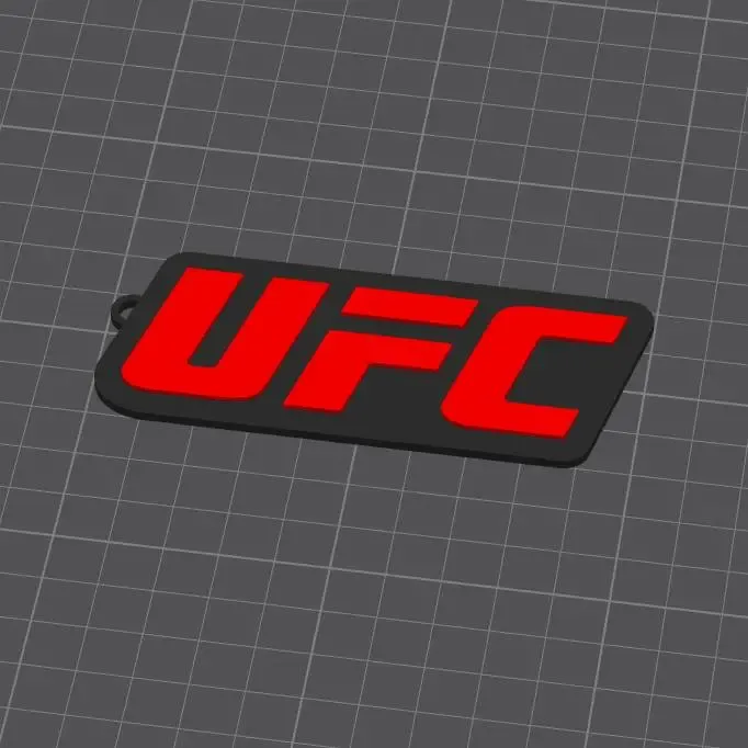 UFC keychain
