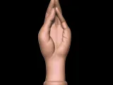 BUTT PLUG HAND - anal plug HAND-2