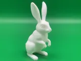 Hase-5