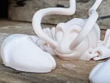 Lobster-0