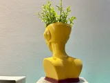 BOT PLANTER-3
