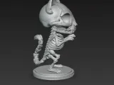 Skeleton Cat Kitten-5