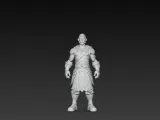 warrior-1