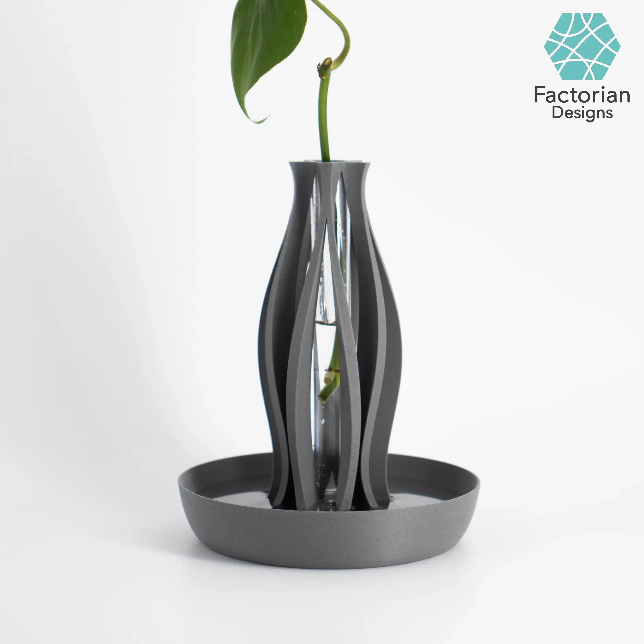 Mordern Vase "Emberflare" | Propagation Vase STL to 3D print