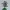STICK WAR LEGACY WAR TORN ATREYOS SPEARTON VINYL FIGURE