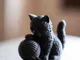 Kitten's Yarn-0
