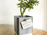 Cork Planter-7
