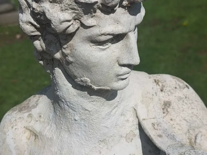 David