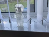 Casper-0