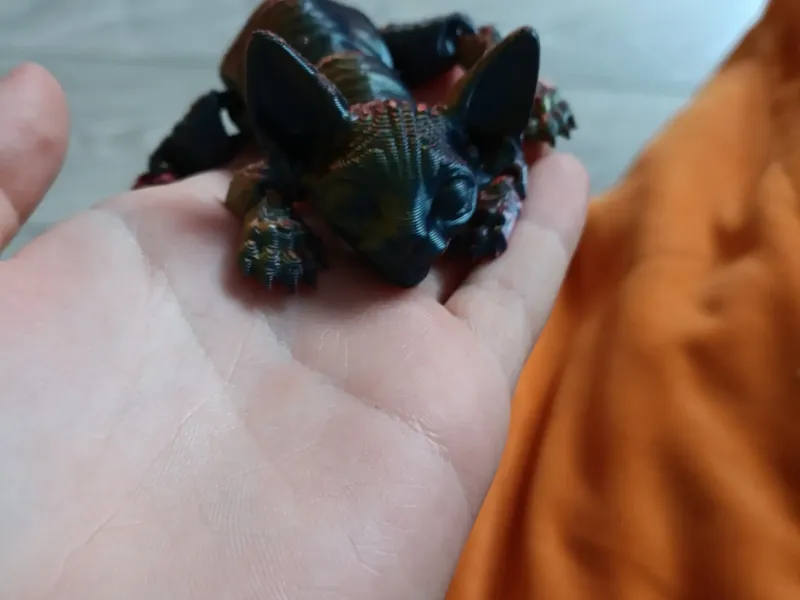 котёнок сфинкс