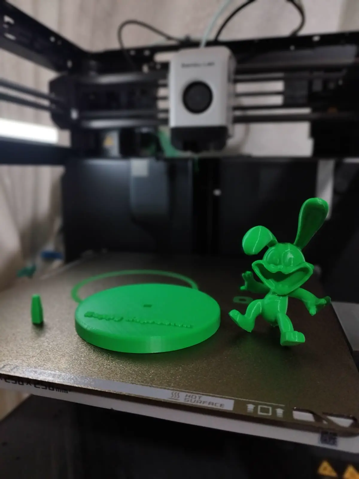 HOPPY HOPSCOTCH MODEL 3D