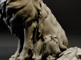 Collie-4