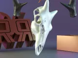 Deer Skull – Multi-Part Assembly Model-4