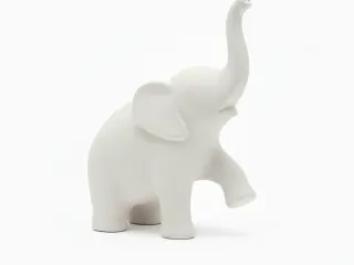 Simple Elefant Looking Up