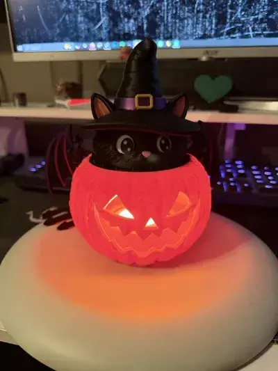 Hollowan cat pumpkin