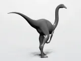 GALLIMIMUS-2