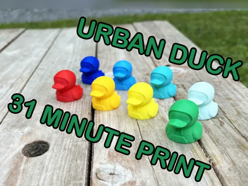 Mini Urban duck