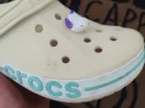 Bird Croc Charm-0