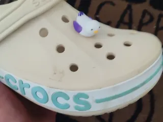 Bird Croc Charm