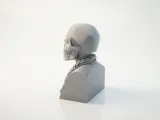 Cool Skeleton Bust Skull Sculpture 3D Printable-2