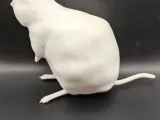 Quokka - Solid Model-2