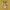 Emolga - Pokemon