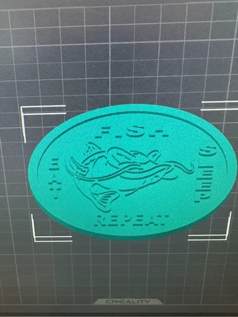 Fish Sleep Repeat Coaster