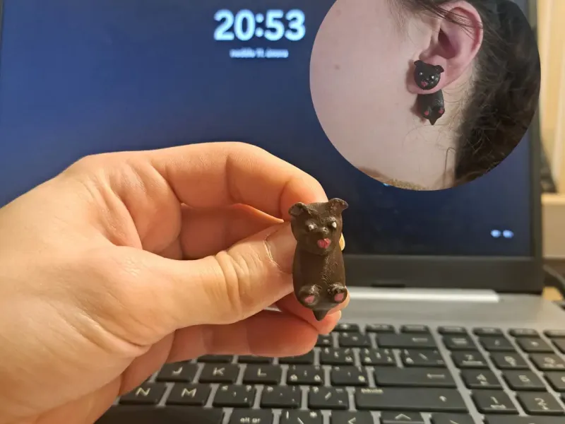 Earrings featuring a French Bulldog motif