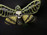 Death Moth-5