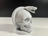 Skull with Snake-1