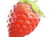 Strawberry-0