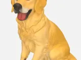 golden Retriever -1