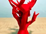 Jumping Spider Tree Hide & Climber-5