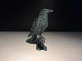 Crow-1