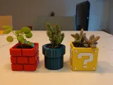 Petits pots de fleurs mario - Petits pots de fleur mario-1