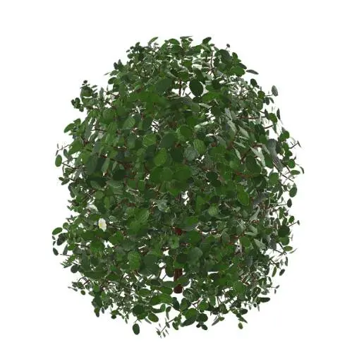 Detailed Round Garden Shrub Bush 3D Model STL Printable