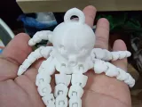 Octopus With Ring-4