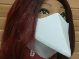 Chic Beak Face Mask-1