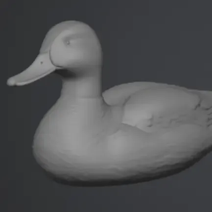 Emerald Mallard Duck