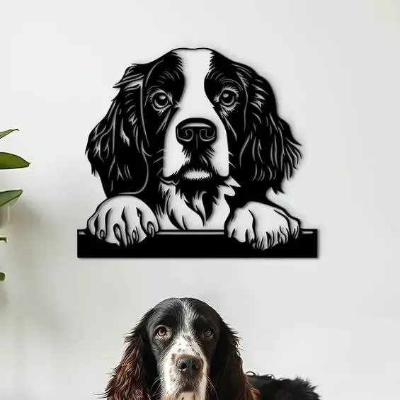 Epagneul Springer Anglais