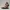 Luna Velvet Lounge – Ecchi Collection